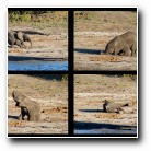 [Click to enlarge image]